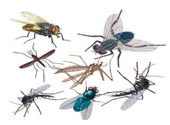 物業(yè)商管類